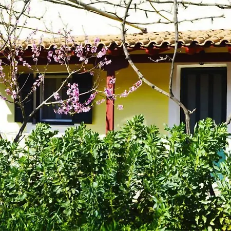 Dionysia Apartament *